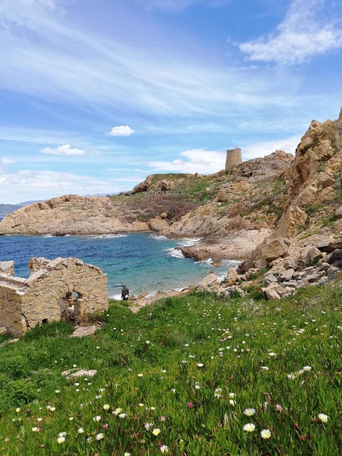 Joli Appartement En Corse Avec Piscine Belgodere  Exterior photo